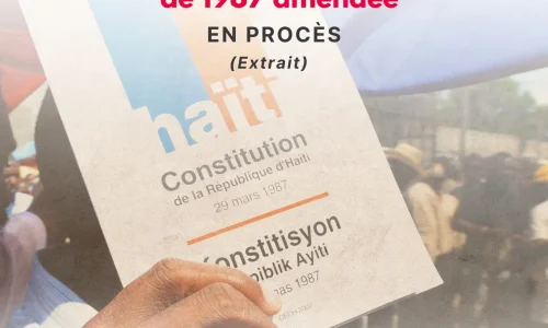 III – Entre changement et réforme, la constitution de 1987 sur le banc des accusés